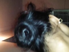 Buen culo secretaria videos pono gay obtiene doggystyle A la mierda